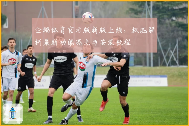 企鹅体育官方版新版上线，权威解析最新功能亮点与安装教程