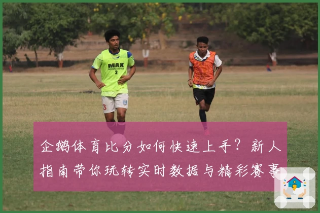 企鹅体育比分如何快速上手？新人指南带你玩转实时数据与精彩赛事解析