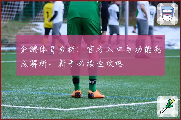 企鹅体育分析：官方入口与功能亮点解析，新手必读全攻略