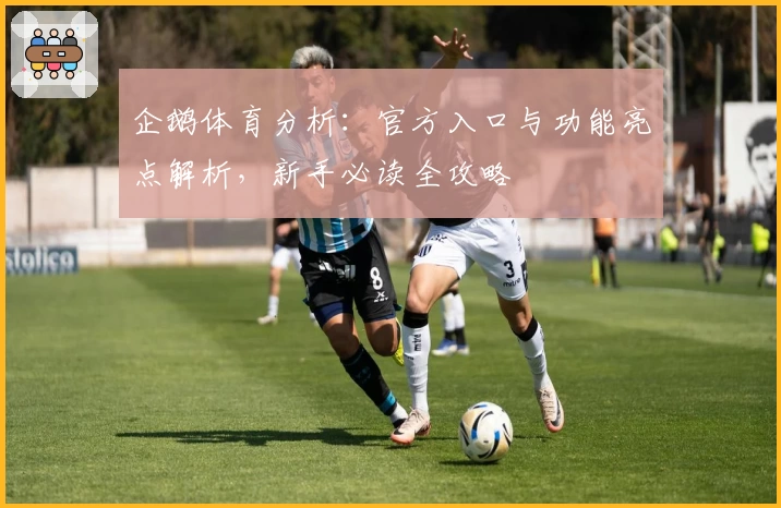 企鹅体育分析：官方入口与功能亮点解析，新手必读全攻略