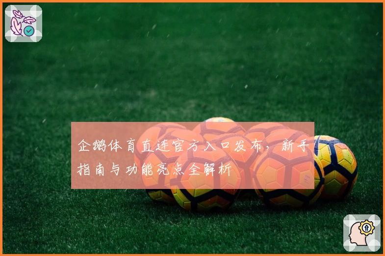 企鹅体育直连官方入口发布，新手指南与功能亮点全解析