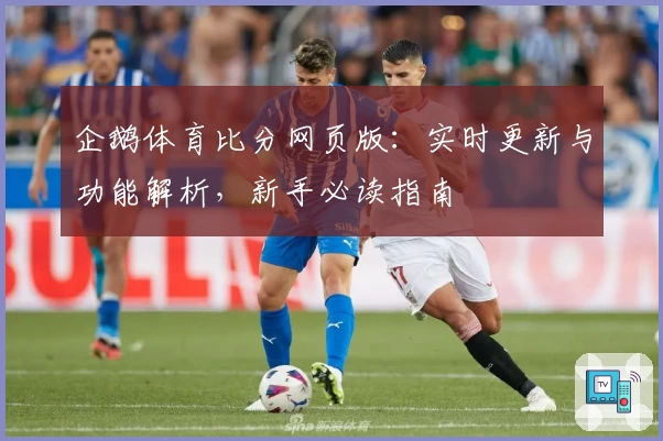 企鹅体育比分网页版：实时更新与功能解析，新手必读指南