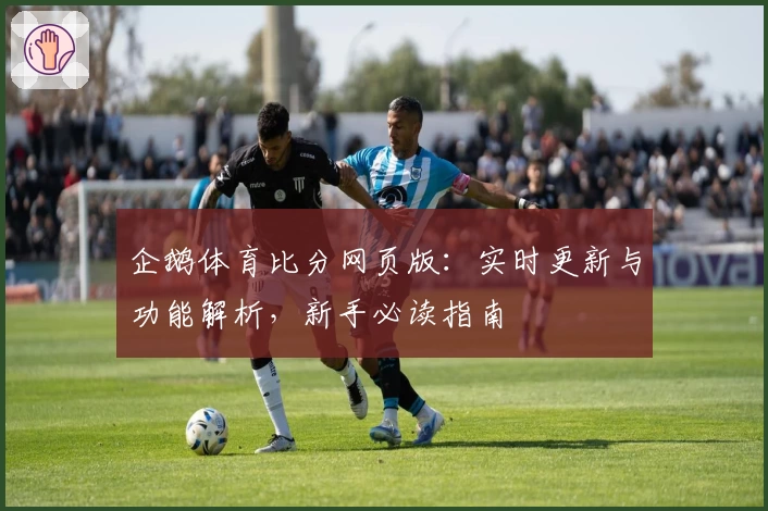 企鹅体育比分网页版：实时更新与功能解析，新手必读指南